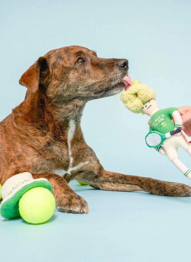 Jouet de fouille Tennis Hooman | Vert