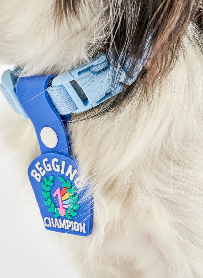 Médaille Begging Champion | Bleu