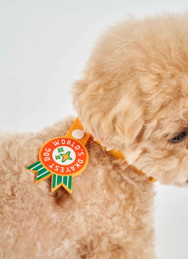 Médaille World's Okayest Dog | Rouge