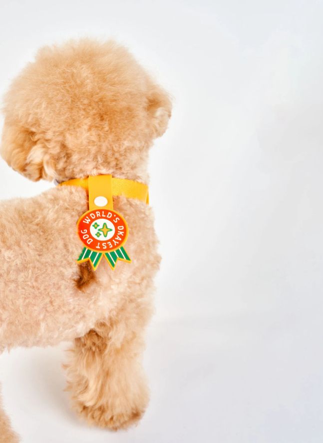 Médaille World's Okayest Dog | Rouge