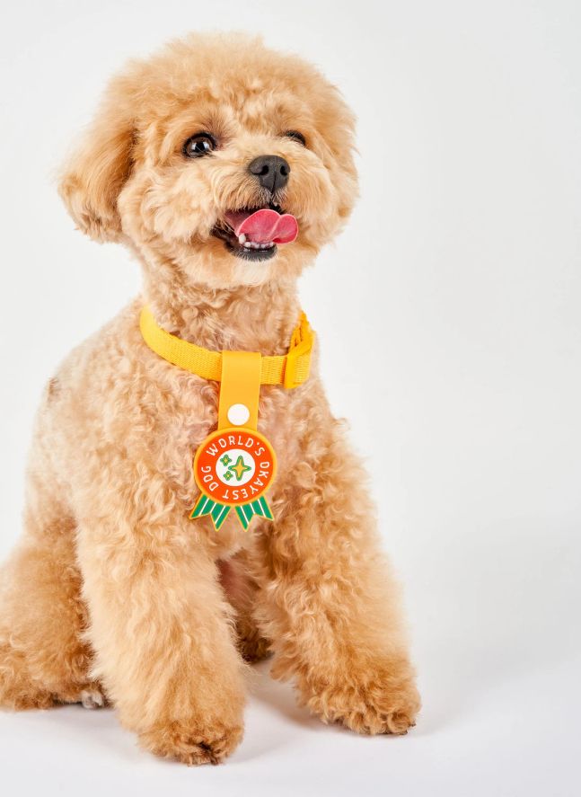 Médaille World's Okayest Dog | Rouge