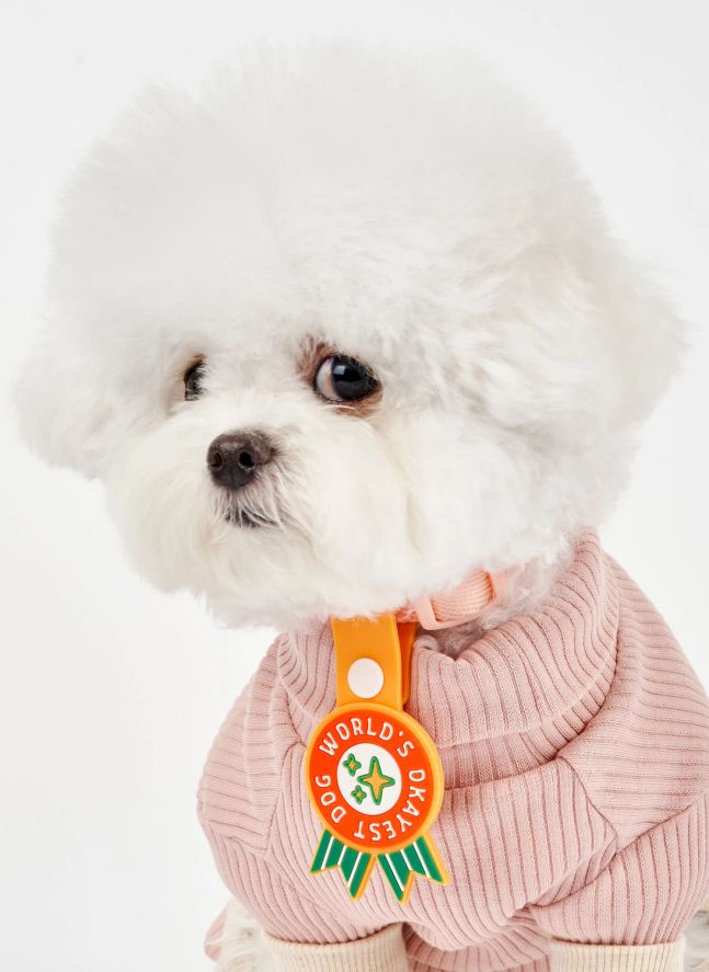 Médaille World's Okayest Dog | Rouge