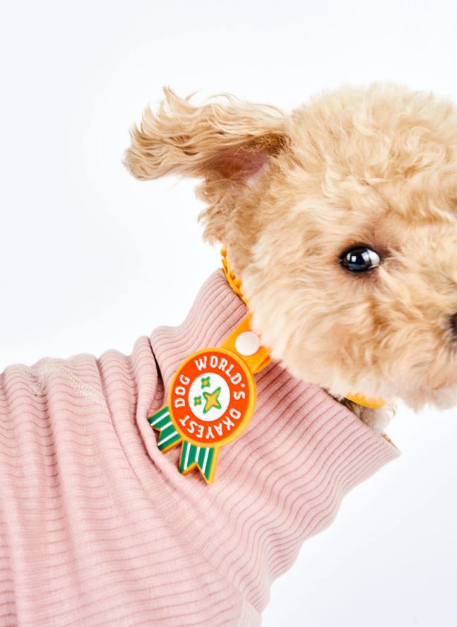 Médaille World's Okayest Dog | Rouge