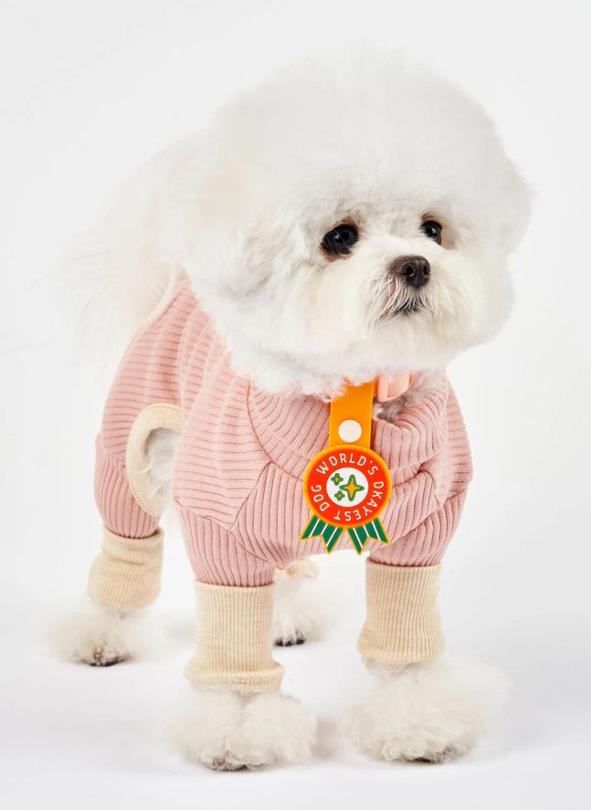 Médaille World's Okayest Dog | Rouge