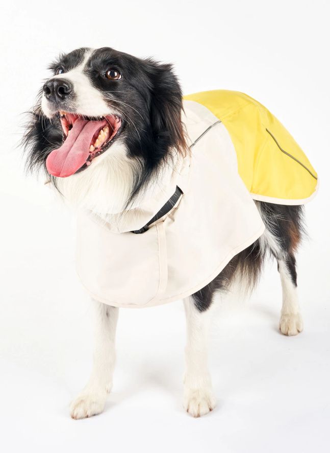 Manteau de pluie Venture | Jaune