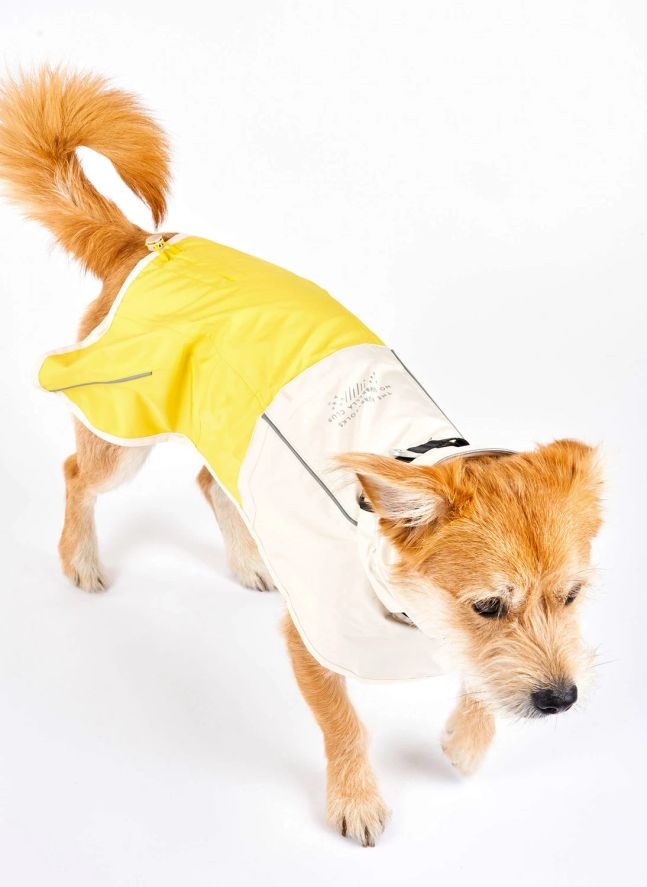Manteau de pluie Venture | Jaune
