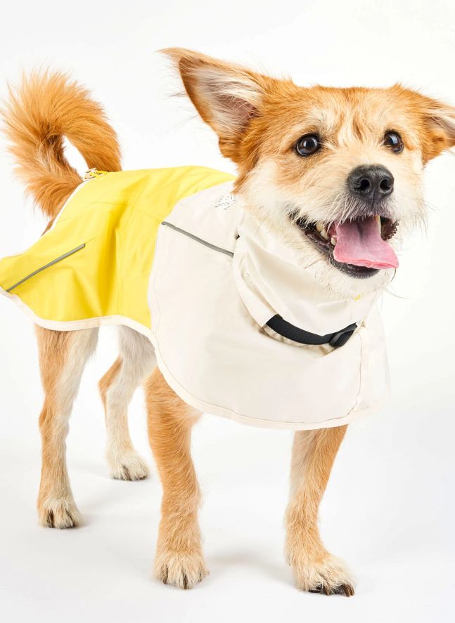 Manteau de pluie Venture | Jaune
