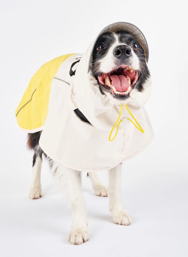 Manteau de pluie Venture | Jaune