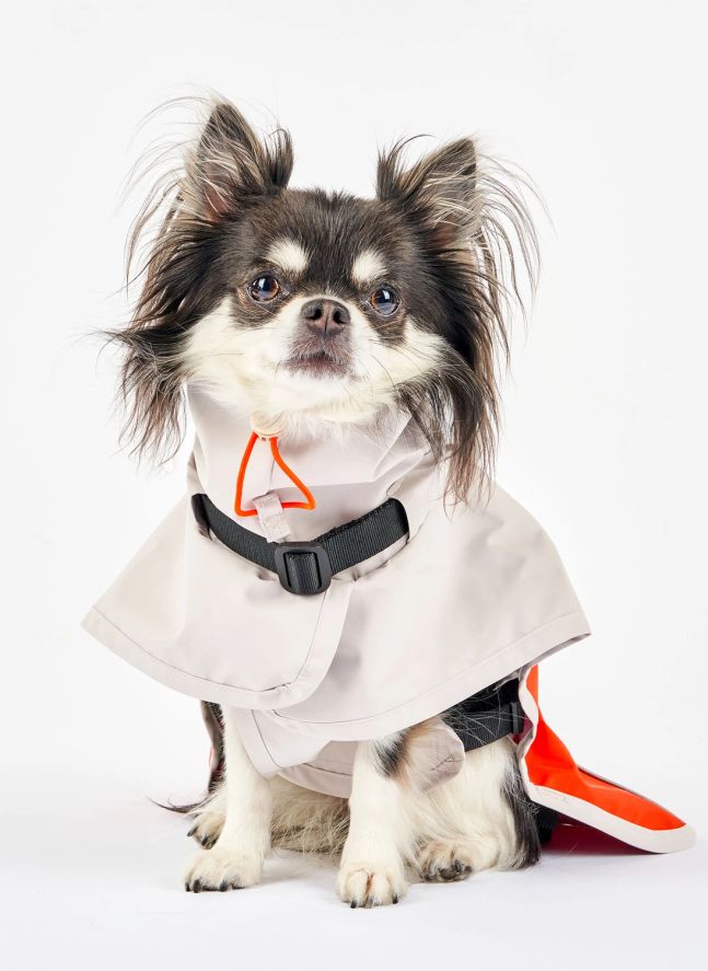 Manteau de pluie Venture | Orange