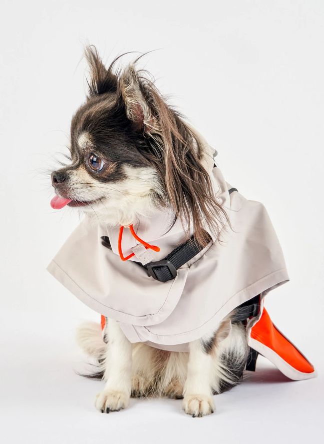 Manteau de pluie Venture | Orange