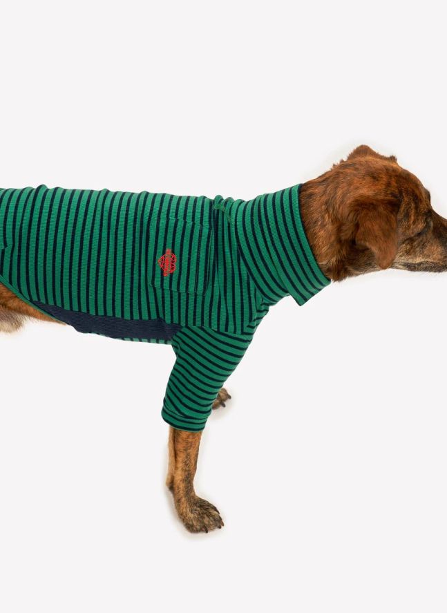 Pull rayé | Vert