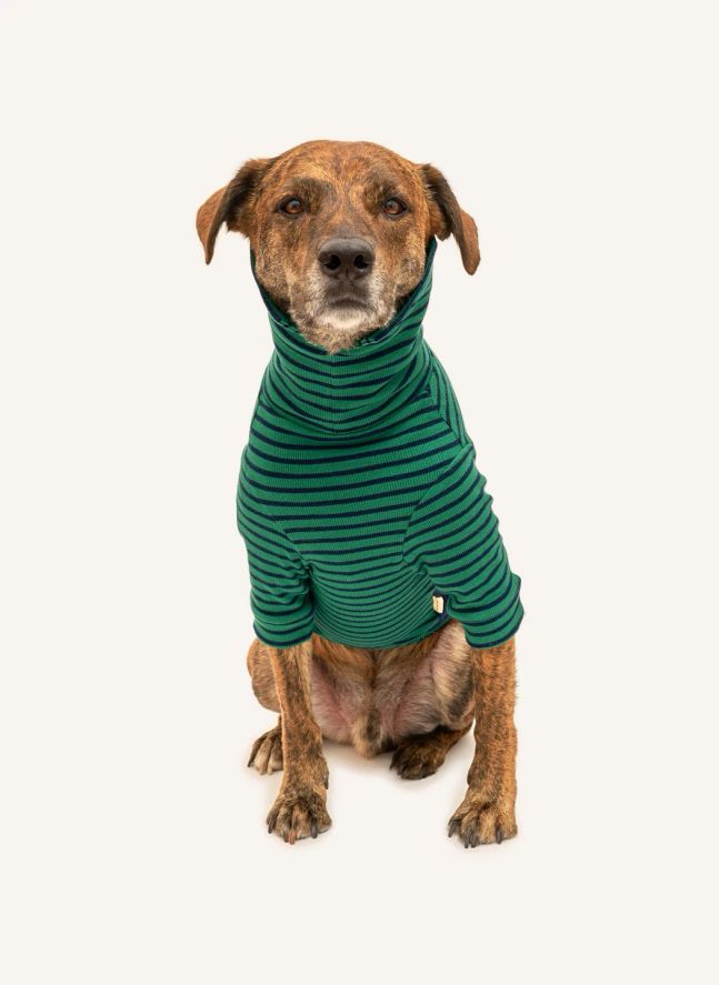 Pull rayé | Vert