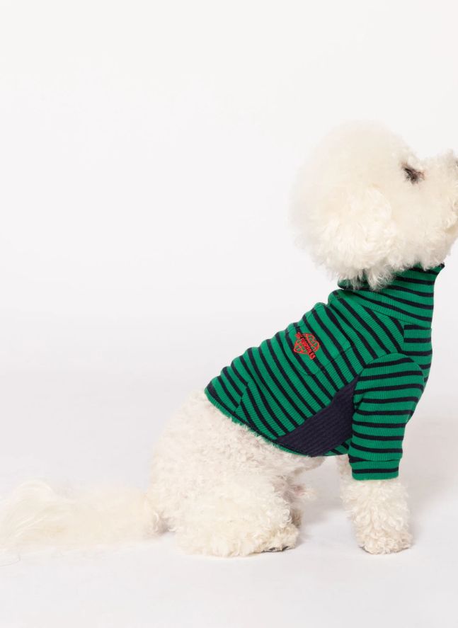 Pull rayé | Vert