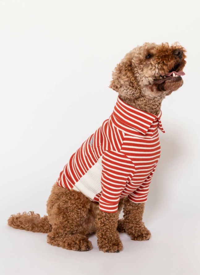 Pull rayé | Rouge