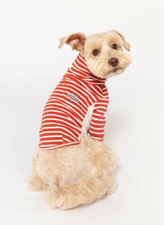 Pull rayé | Rouge