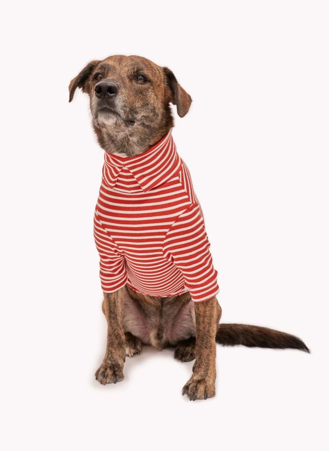 Pull rayé | Rouge