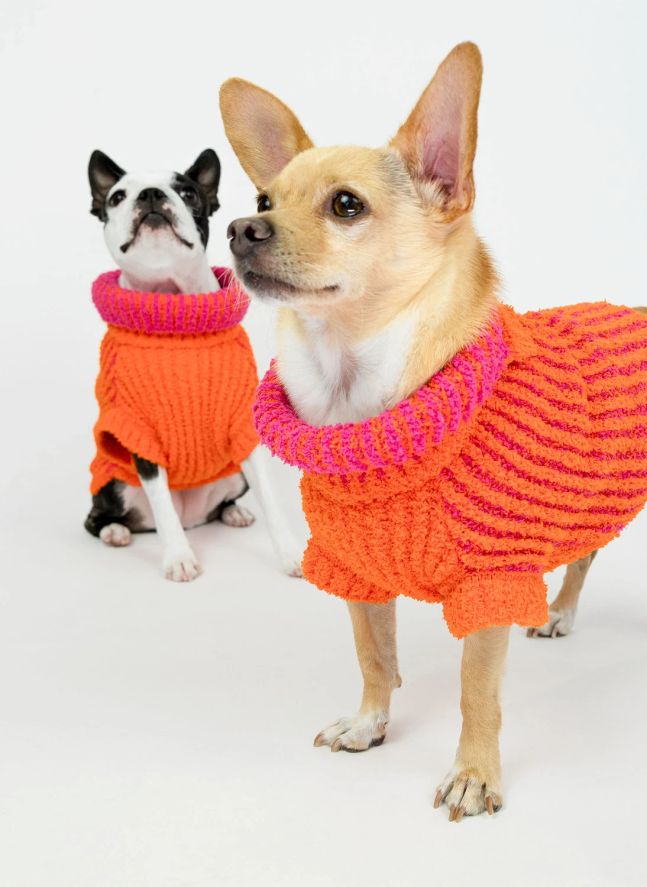Pull Rib | Orange