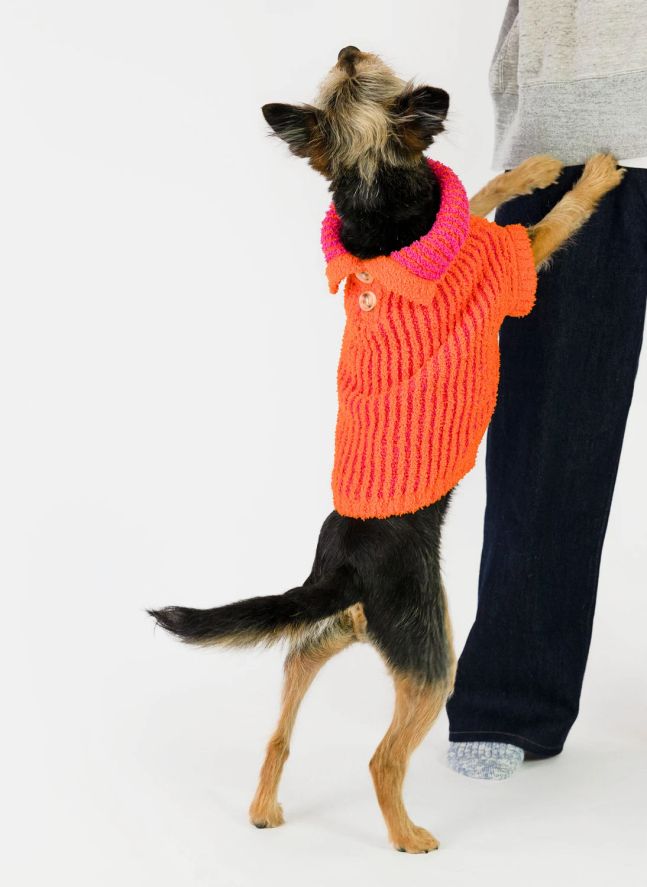 Pull Rib | Orange