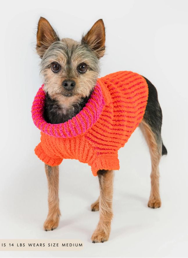 Pull Rib | Orange