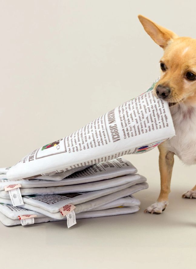 Jouet de fouille Newspapper | Multicolore
