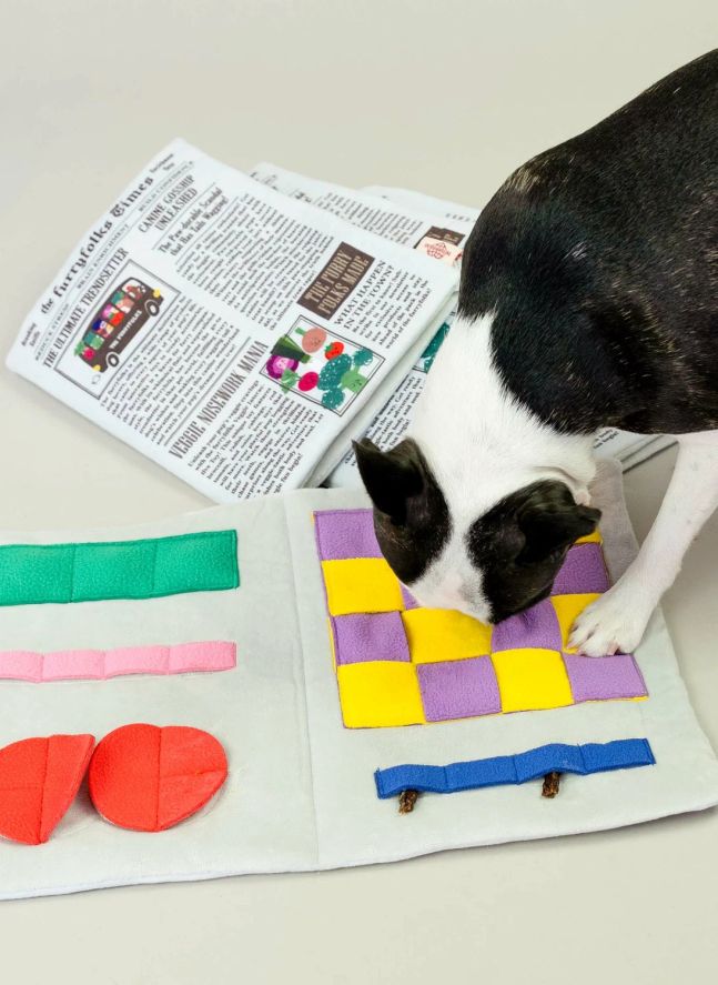Jouet de fouille Newspapper | Multicolore