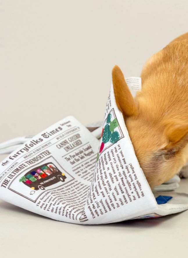 Jouet de fouille Newspapper | Multicolore