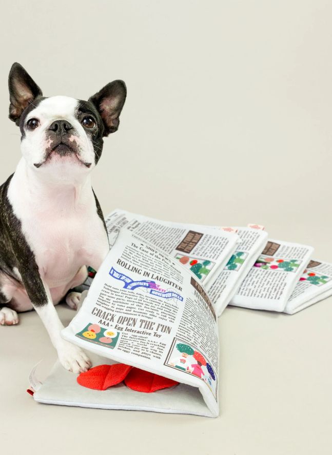 Jouet de fouille Newspapper | Multicolore