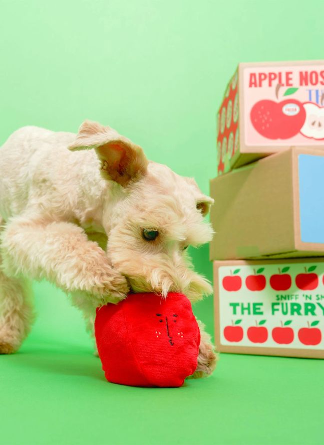 Jouet de fouille Apple | Rouge