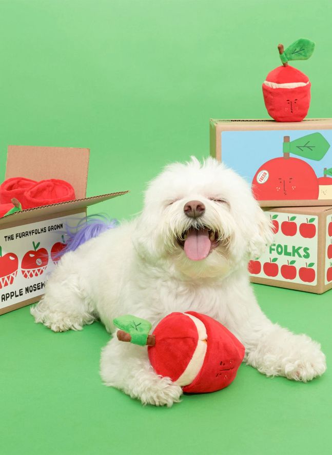 Jouet de fouille Apple | Rouge
