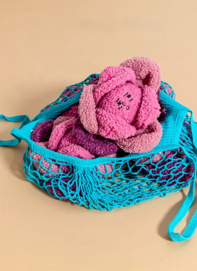 Jouet de fouille Red Cabbage | Rose