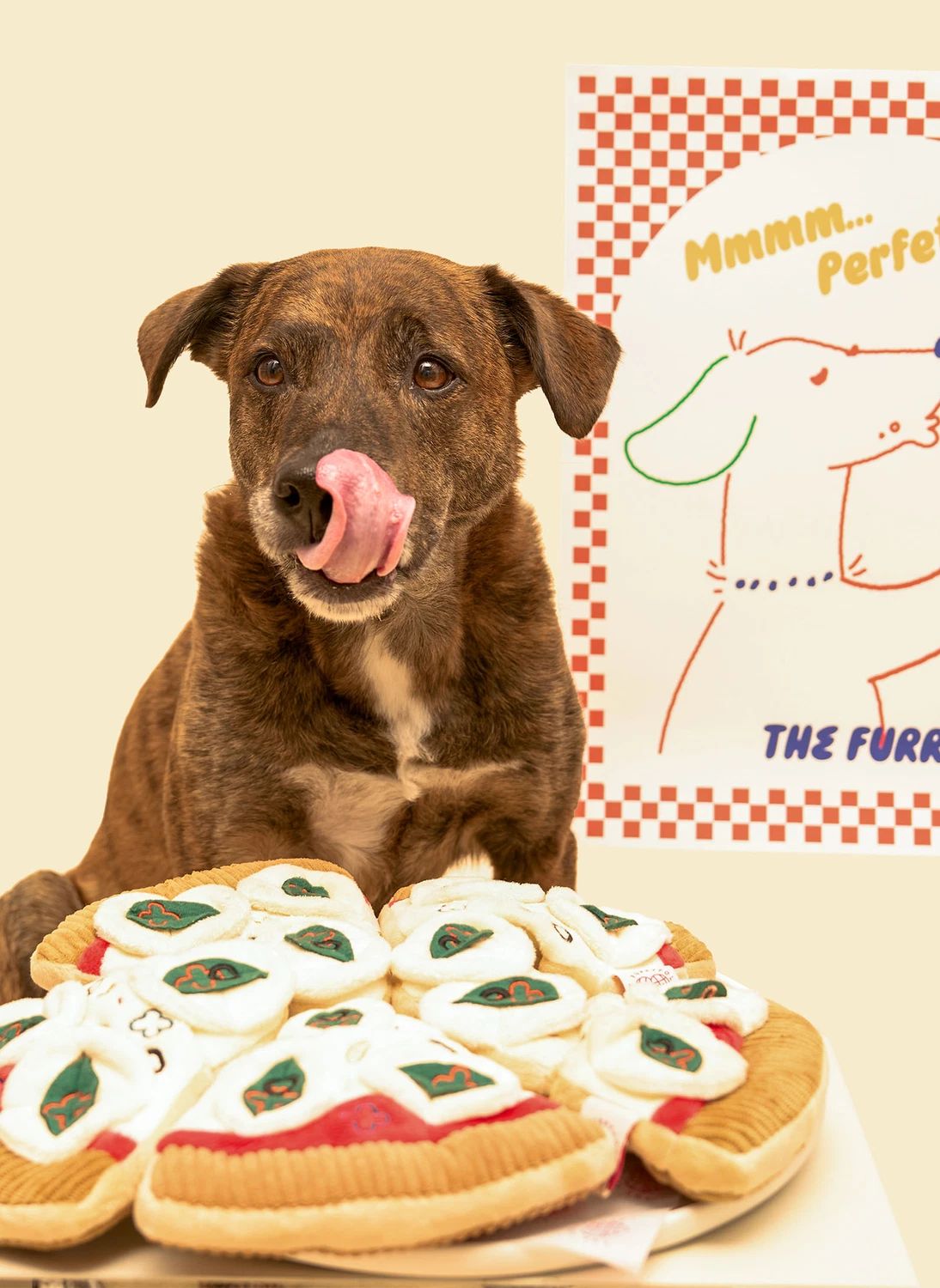 Jouet de fouille Pizza- Image produit n°8