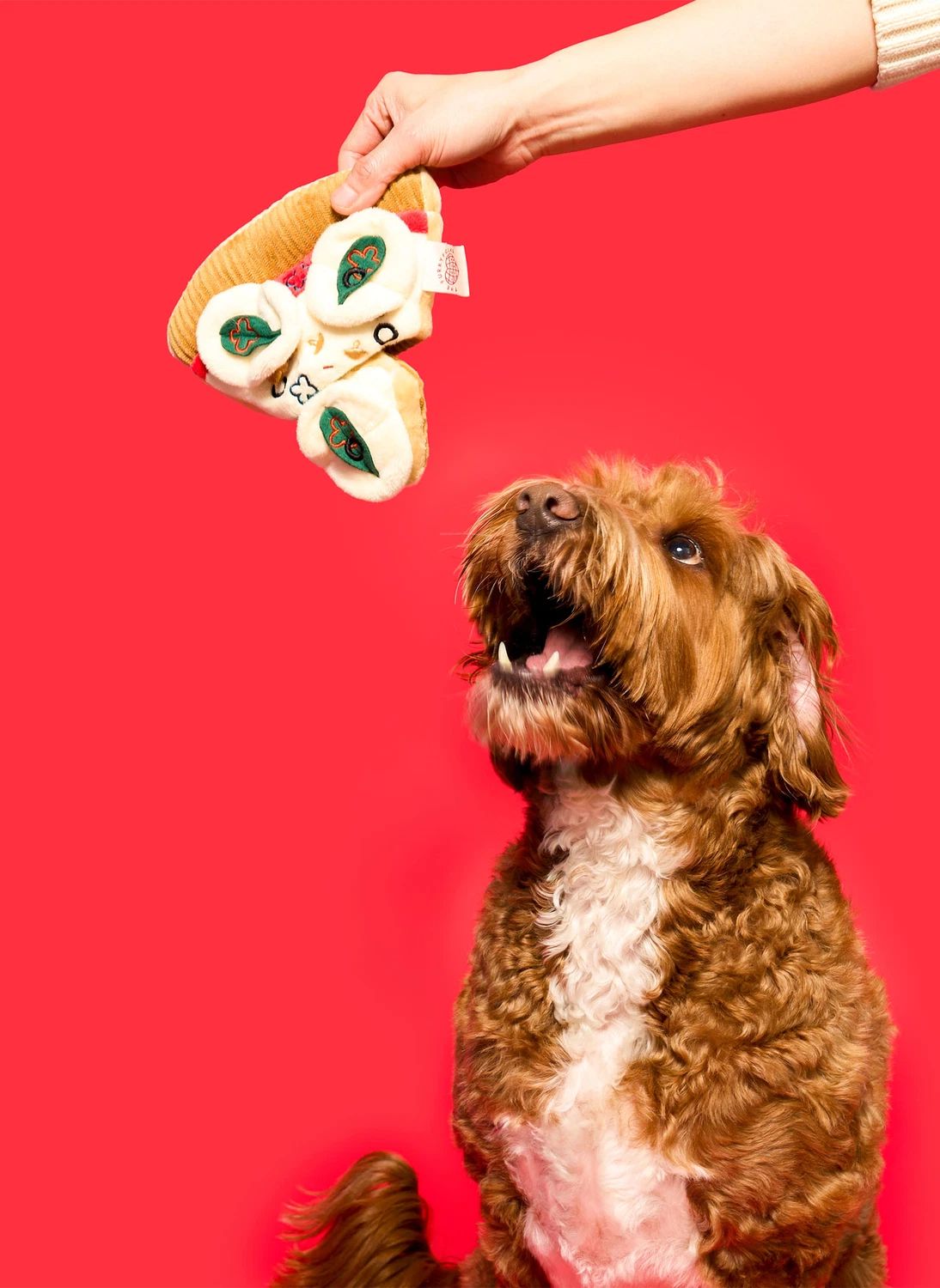 Jouet de fouille Pizza- Image produit n°1