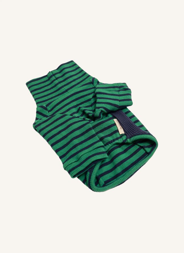 Pull rayé | Vert