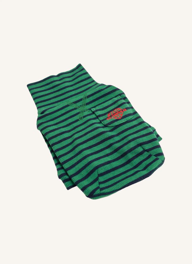 Pull rayé | Vert