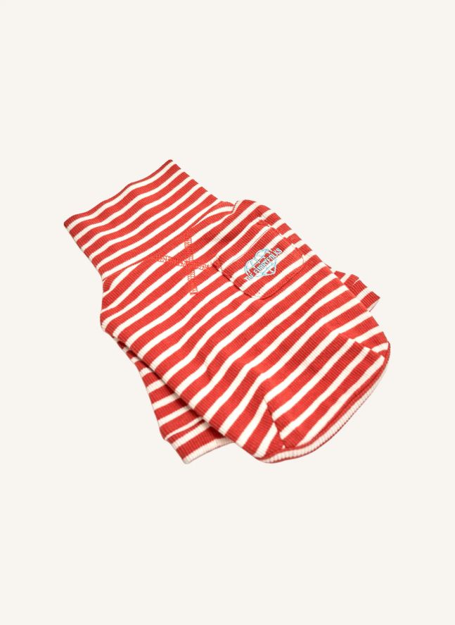 Pull rayé | Rouge