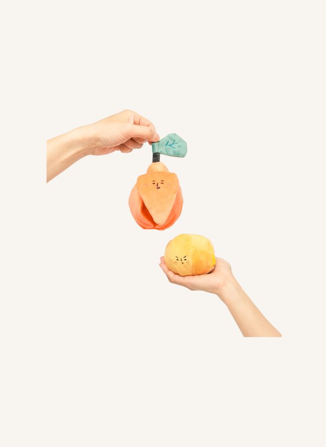 Jouet de fouille Orange | Orange