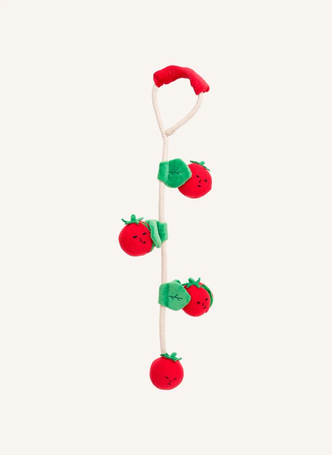 Jouet de fouille Cherry Tomato | Rouge tomate