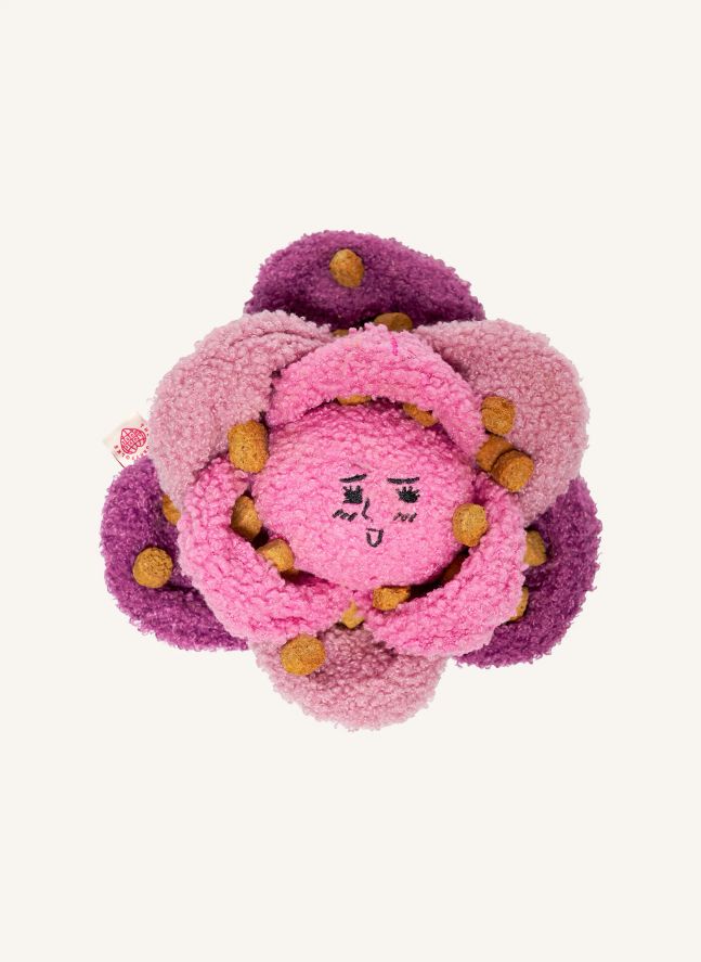 Jouet de fouille Red Cabbage | Rose