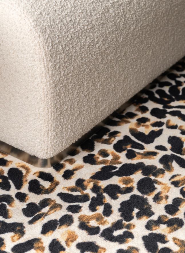 Tapis Leopardo | Léopard