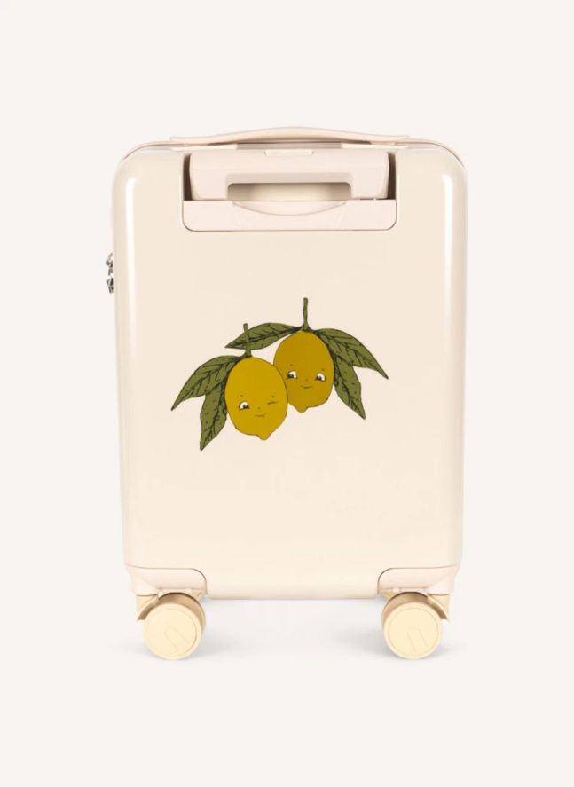 Sweet and Sour suitcase