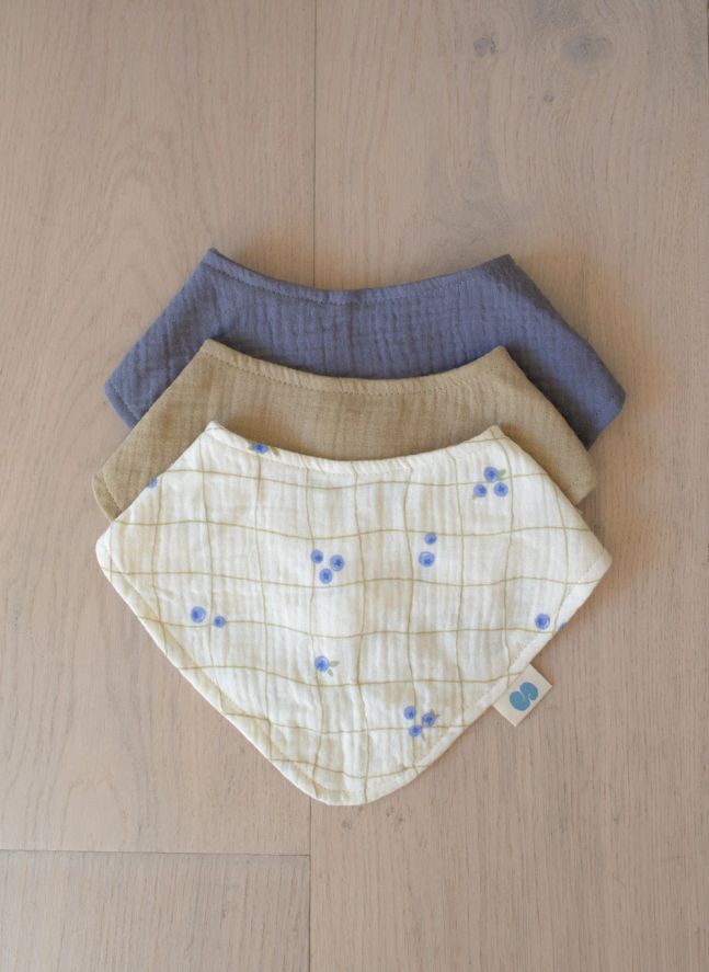 Coffret de naissance Blueberries