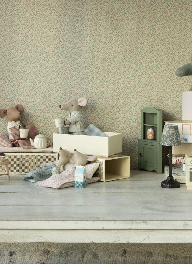 Souris Grand Frère dans sa boîte assortie