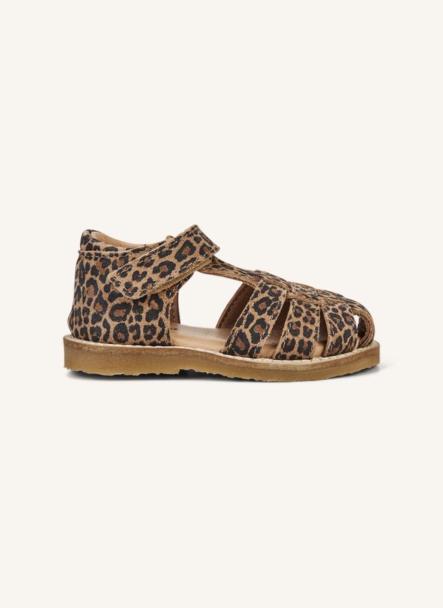Leopard Classic Scratch Sandals | Brown