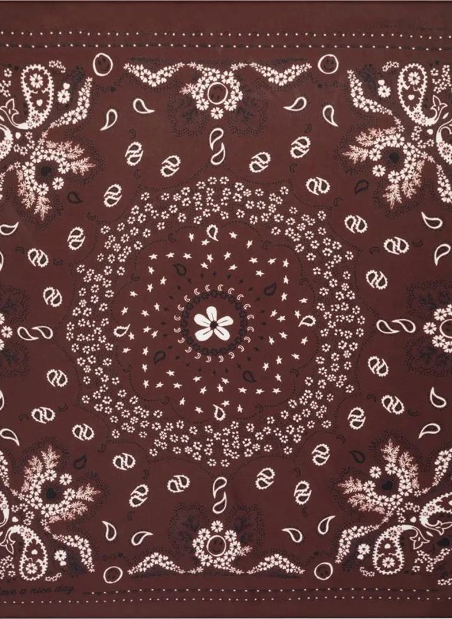 Bandana Small Soie | Marron
