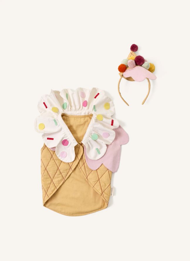 Ice Cream disguise