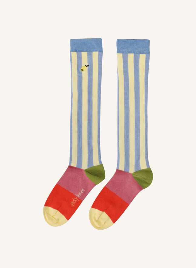 Chaussettes Rayées | Bleu