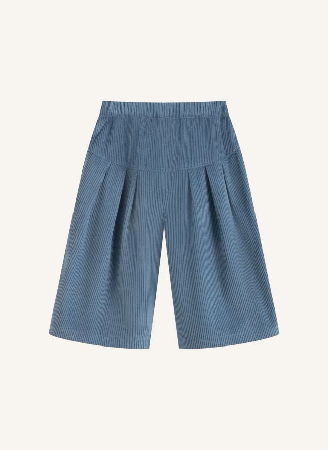 Pantalon Yusu Velours Côtelé | Bleu pâle