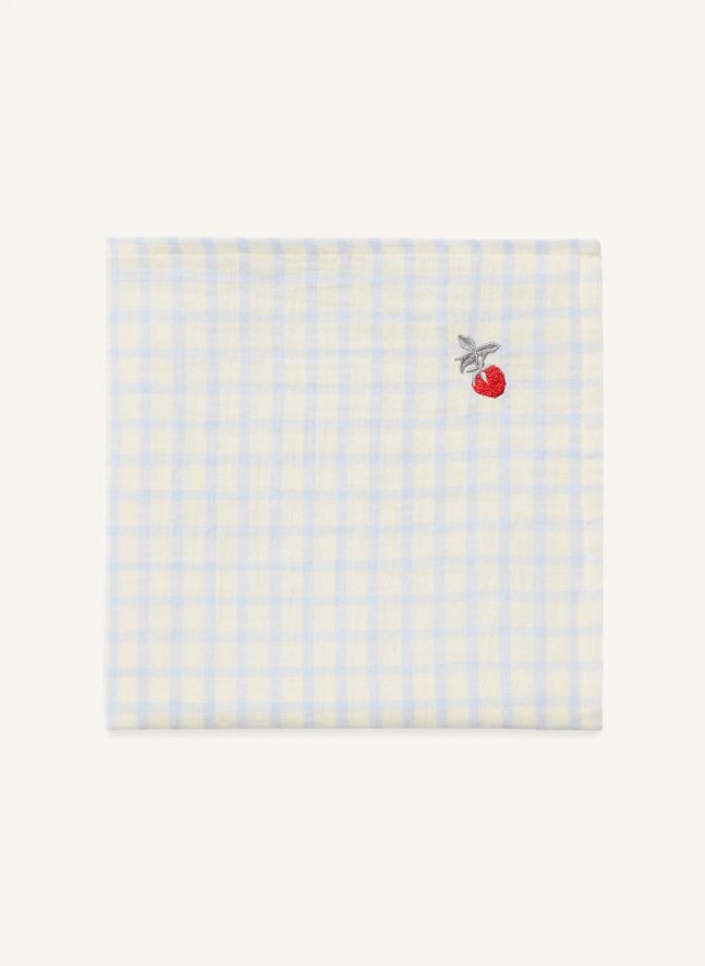 Lange d'emmaillotage Gingham