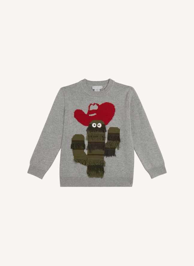 Pull Cactus | Gris