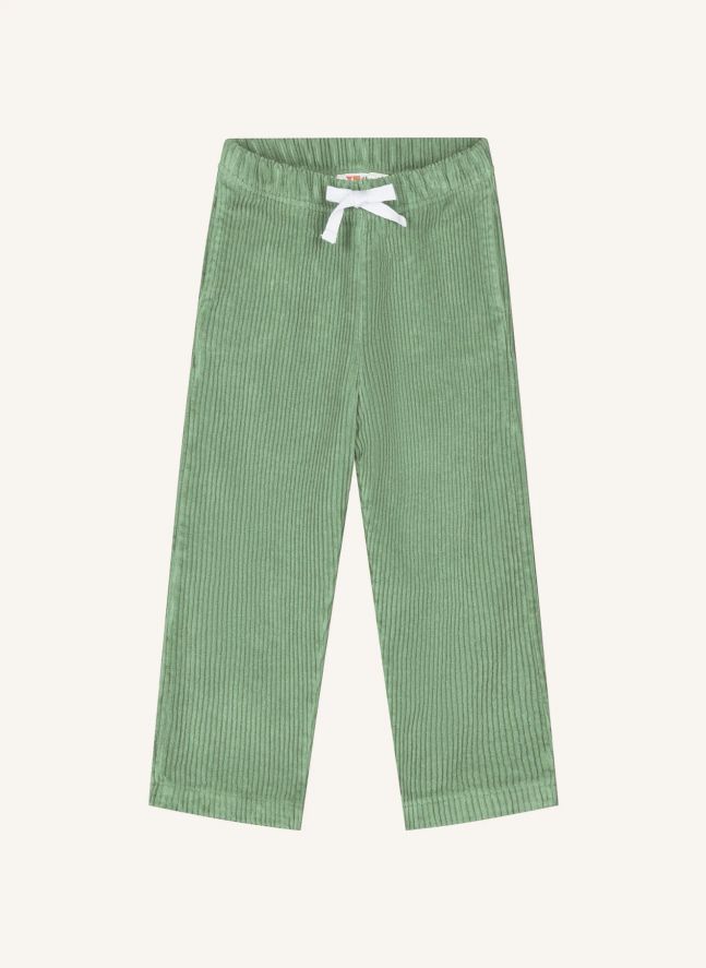 Pantalon Beau Velours Côtelé Coton Bio | Vert